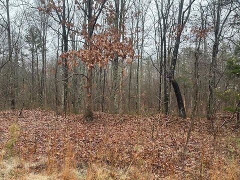 Tiny photo for 2080 Teludachee Trail, South Pittsburg, TN 37380 (MLS # 1527613)