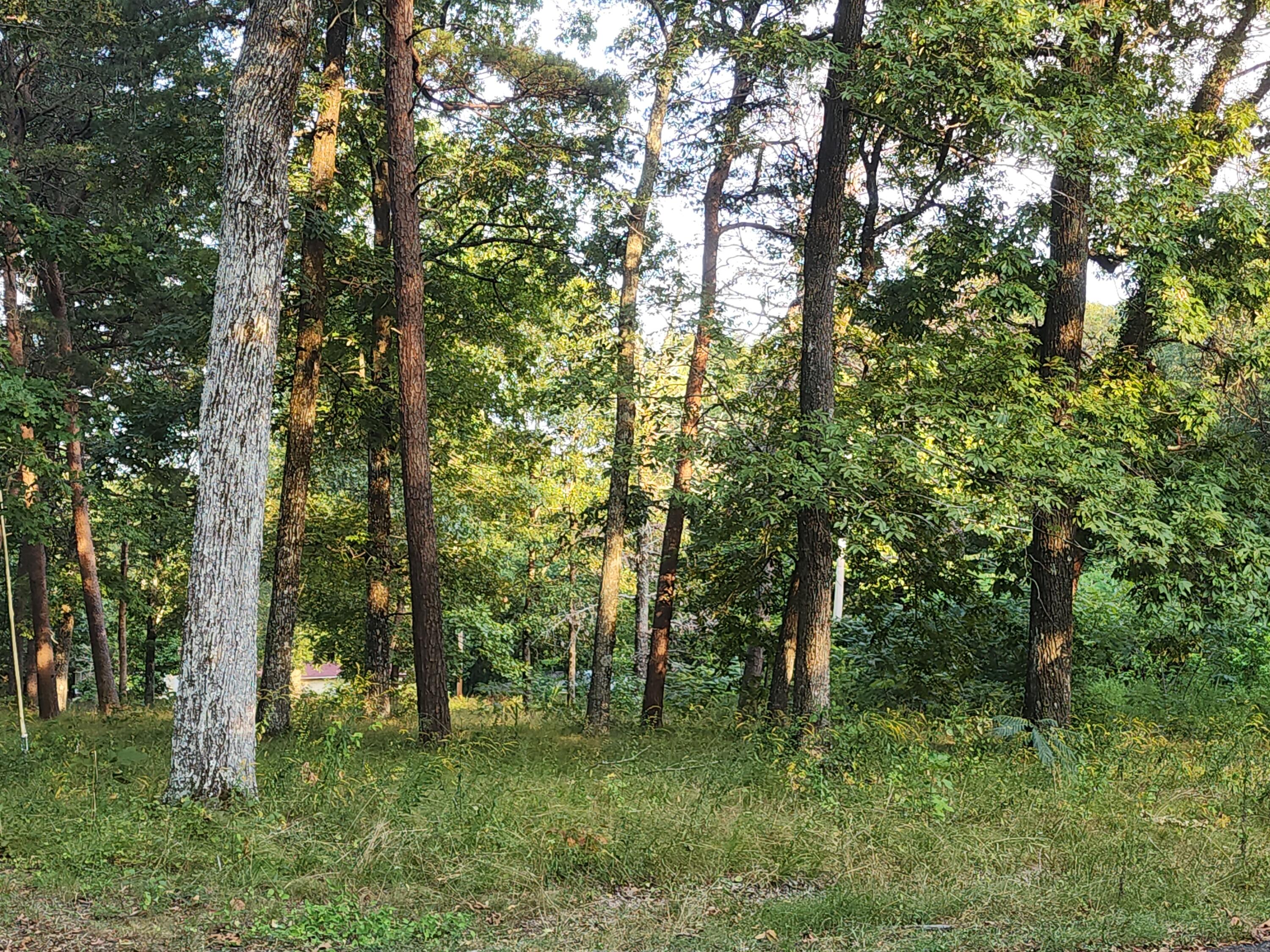 00 South St #1,2,13,14, PT 312, Mentone, Alabama image 7