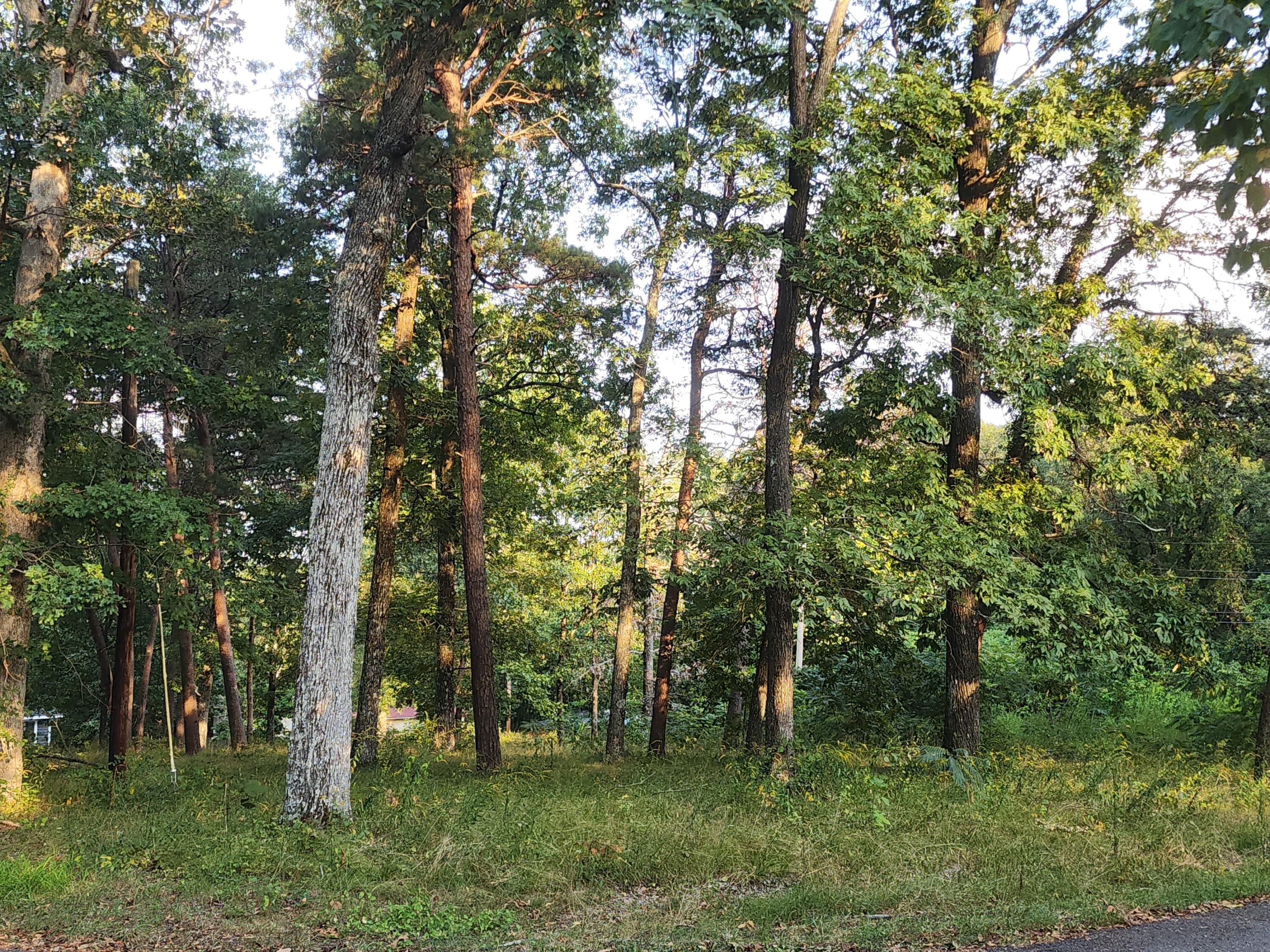 00 South St #1,2,13,14, PT 312, Mentone, Alabama image 8