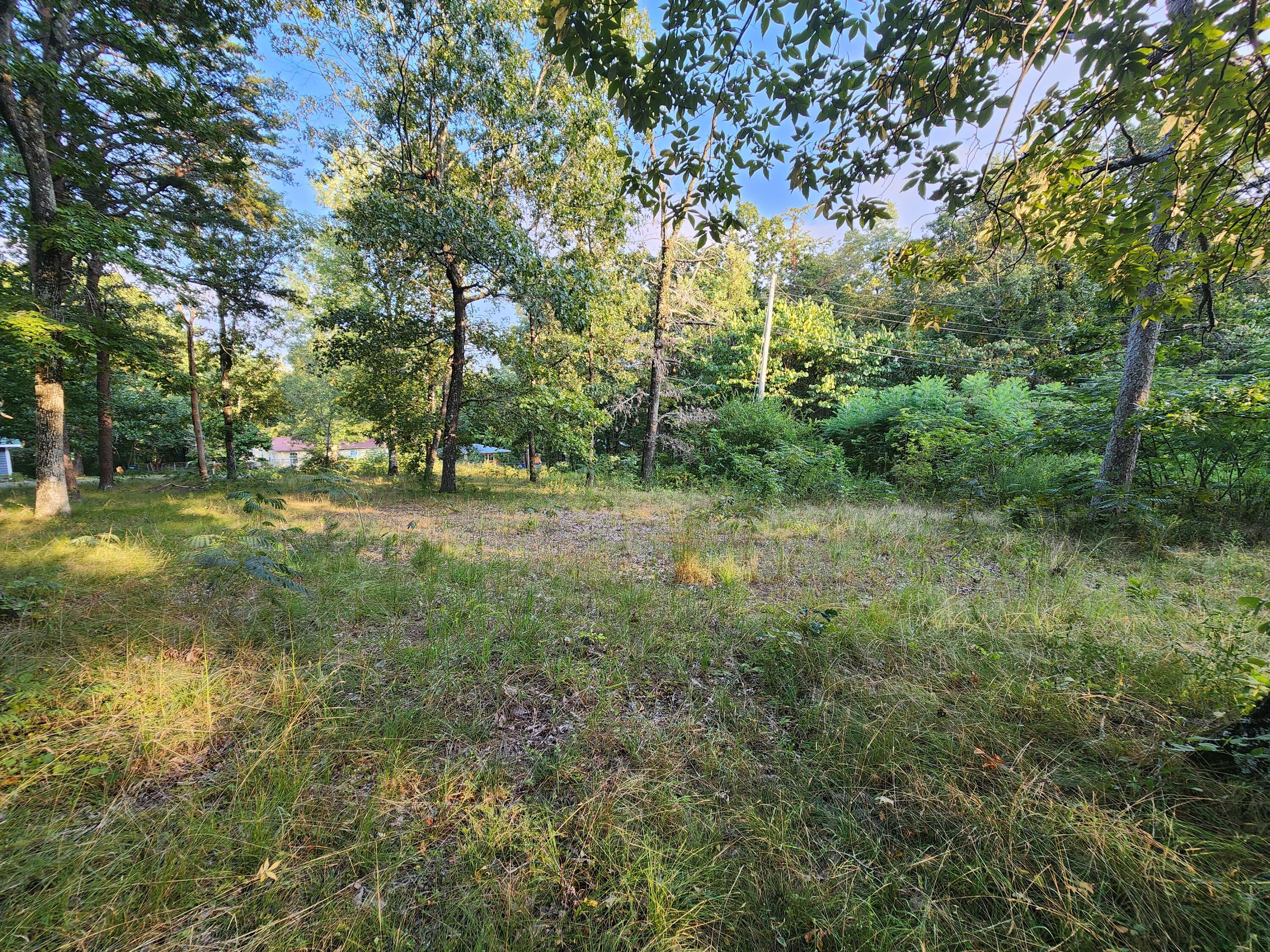 00 South St #1,2,13,14, PT 312, Mentone, Alabama image 3