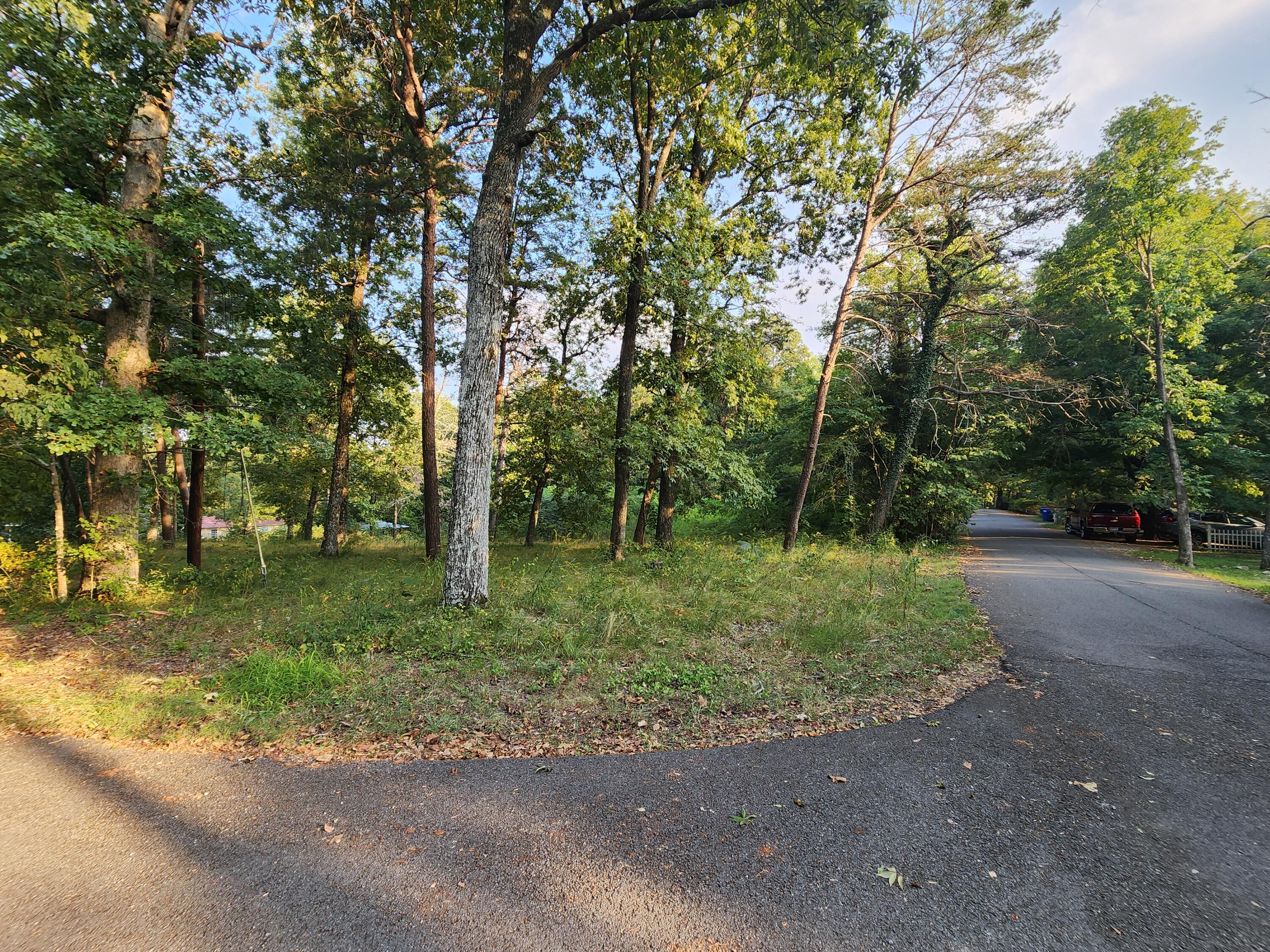 00 South St #1,2,13,14, PT 312, Mentone, Alabama image 10
