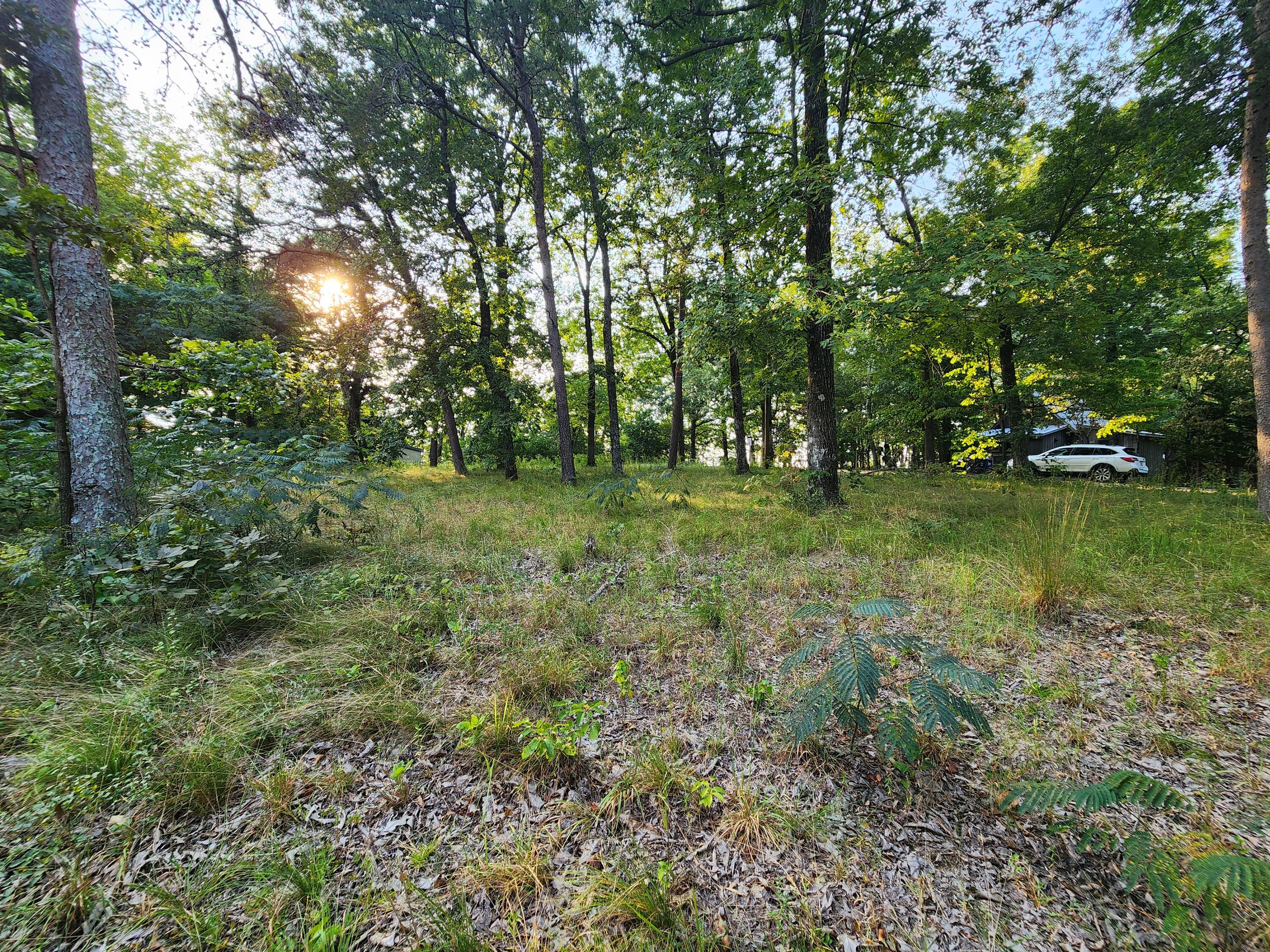 00 South St #1,2,13,14, PT 312, Mentone, Alabama image 4