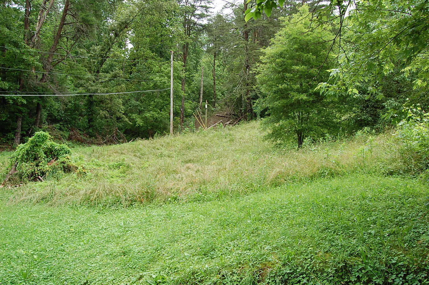 358 Poplar Street, Soddy Daisy, Tennessee image 7