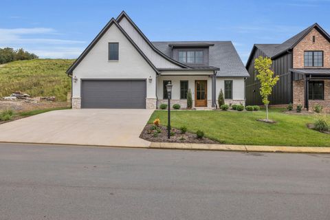 Photo of 1274 London Woods Way, Apison, TN 37302 (MLS # 1394890)