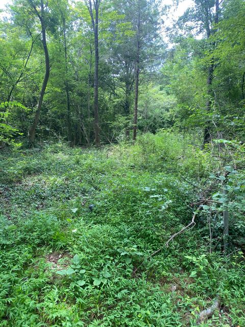 Photo of 0 Mccahill Road, Chattanooga, TN 37415 (MLS # 1515983)