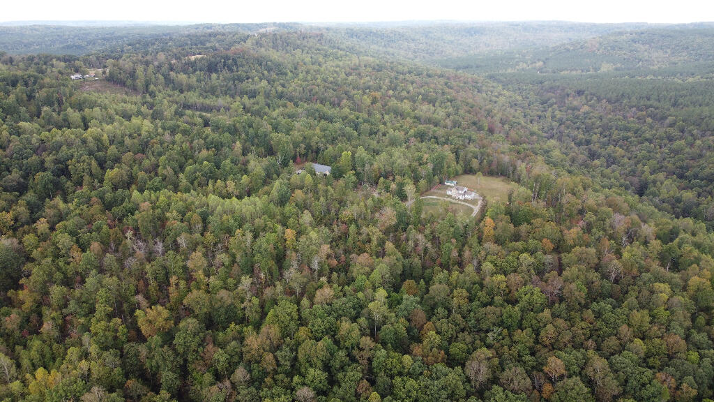 Echo Point Road, Dunlap, Tennessee image 3