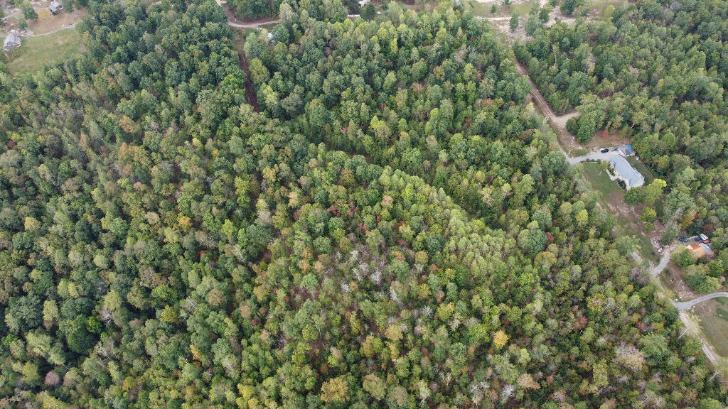Echo Point Road, Dunlap, Tennessee image 9