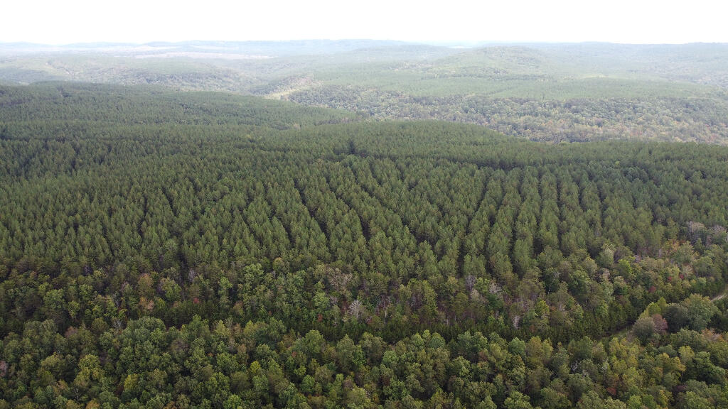 Echo Point Road, Dunlap, Tennessee image 8