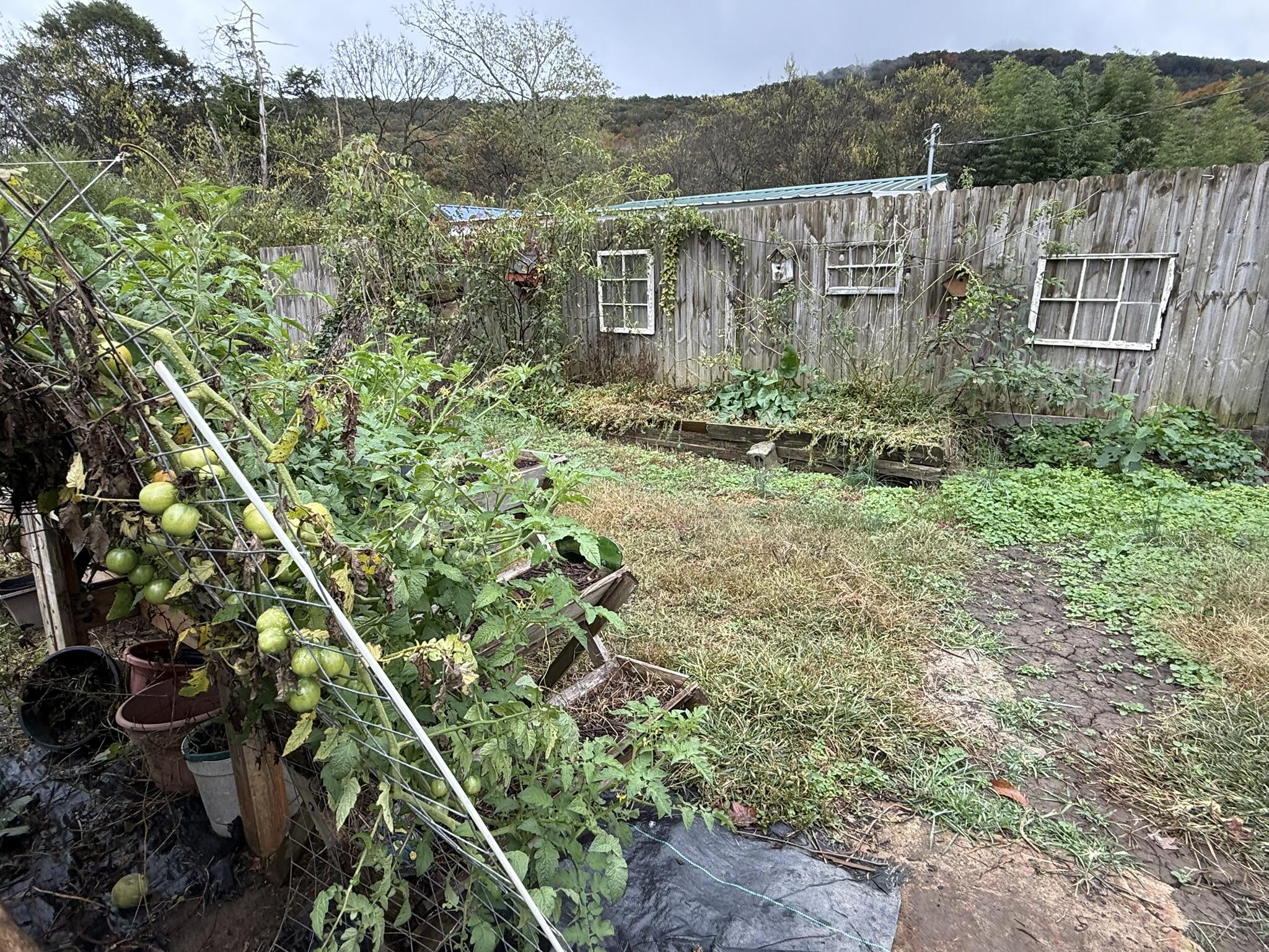 Trenton, Georgia 30752, United States, 2 Bedrooms Bedrooms, ,1 BathroomBathrooms,Residential,Active,238067