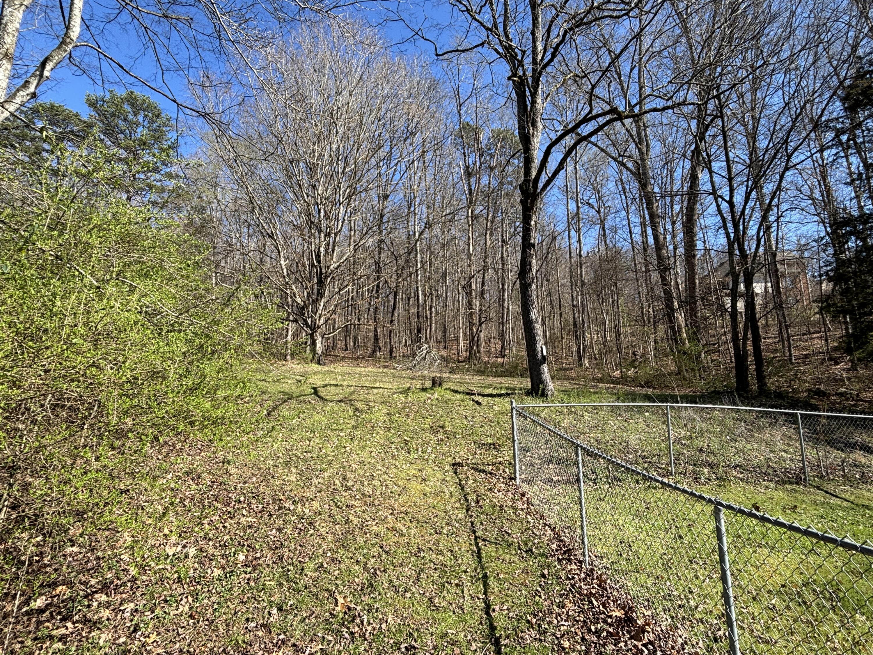 3829 Georgetown Road, Cleveland, Tennessee image 3