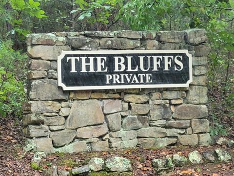 Photo of 0 S Bluffs South Road, South Pittsburg, TN 37380 (MLS # 1519005)