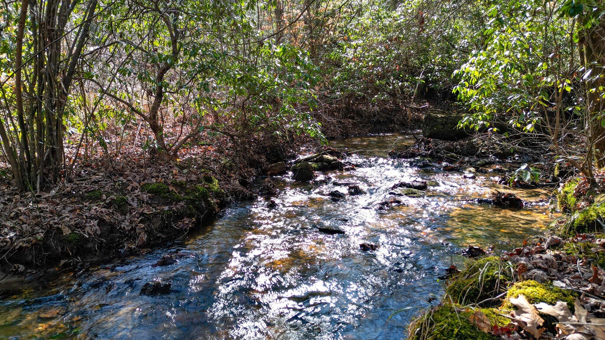 57 Mangums Trail, Blue Ridge, Georgia image 5