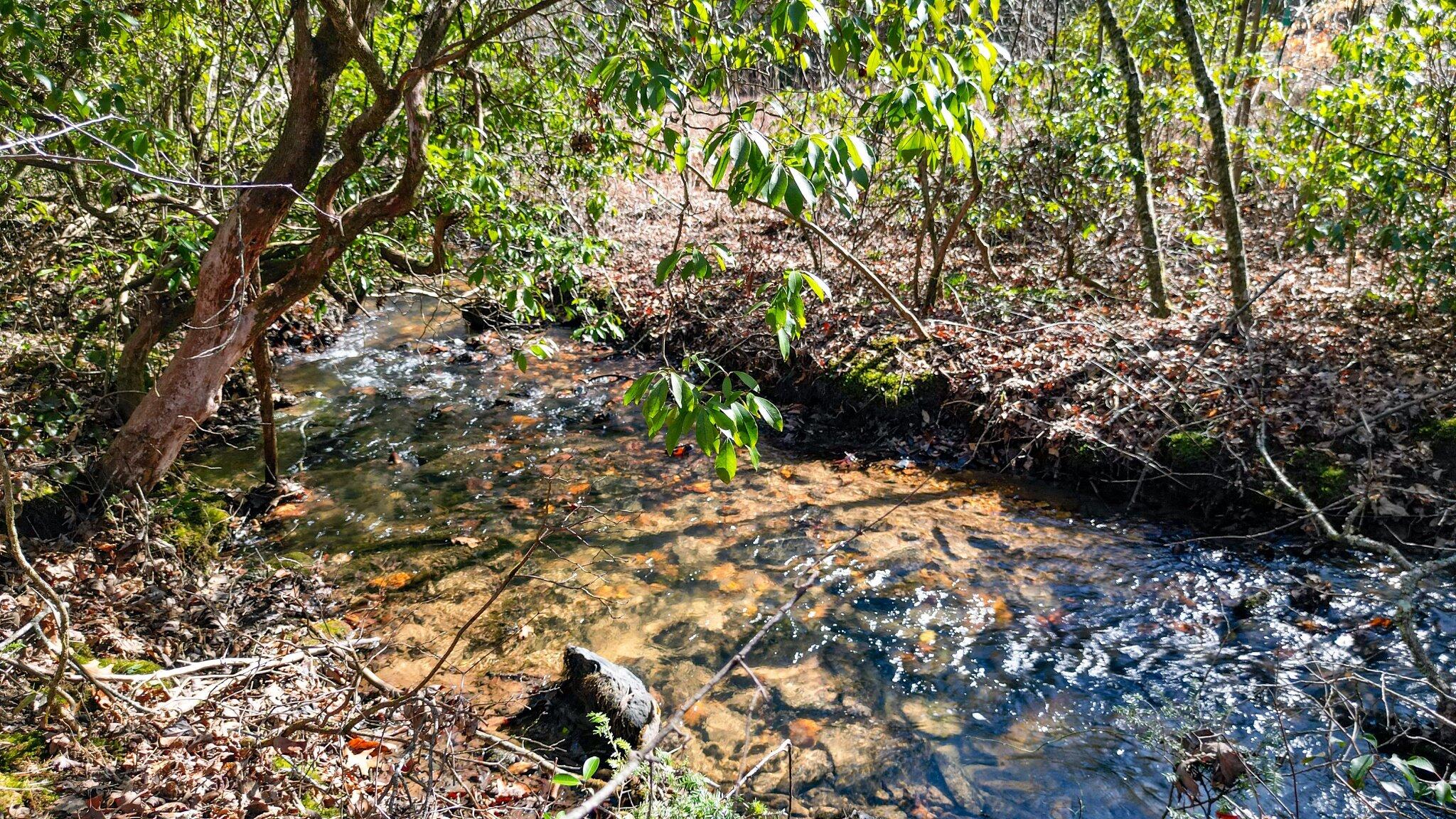 57 Mangums Trail, Blue Ridge, Georgia image 6