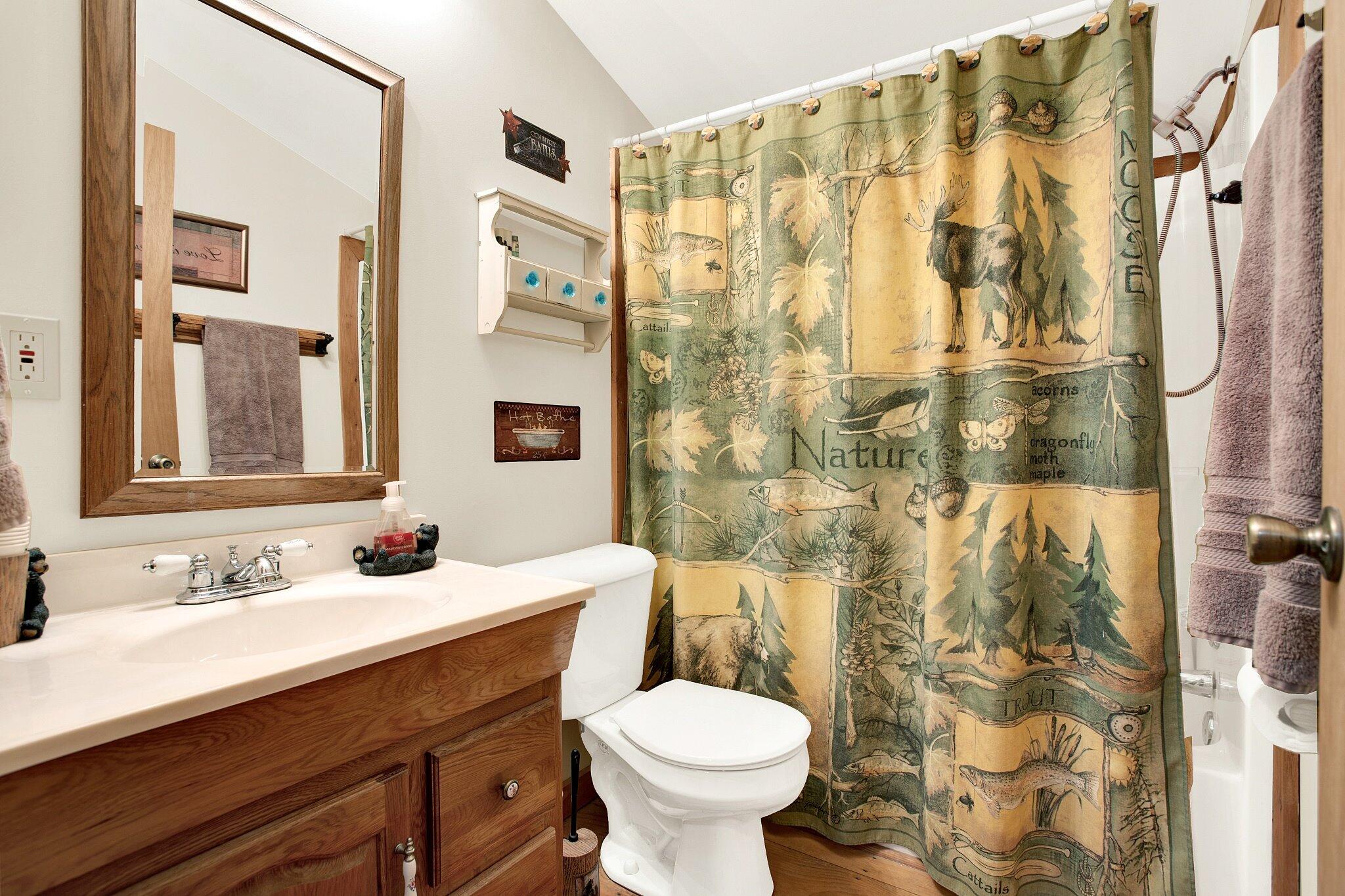 57 Mangums Trail, Blue Ridge, Georgia image 46