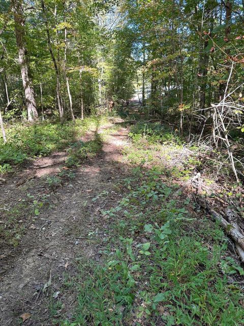 Photo of Lot 351 Diana Drive, Spring City, TN 37381 (MLS # 1501837)