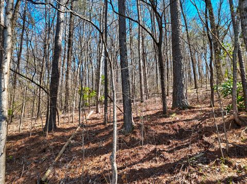 Tiny photo for 1714 Spring View Lane, Chattanooga, TN 37421 (MLS # 1530674)