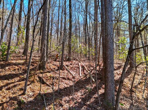 Tiny photo for 1714 Spring View Lane, Chattanooga, TN 37421 (MLS # 1530674)