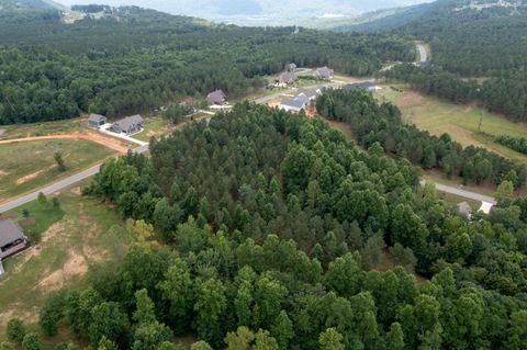 Tiny photo for 0 Pappy Road, Jasper, TN 37347 (MLS # 1530399)