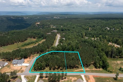 Tiny photo for 0 Pappy Road, Jasper, TN 37347 (MLS # 1530399)