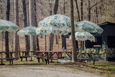 Tiny photo for 587 Lakes Road, Tracy City, TN 37387 (MLS # 1529612)