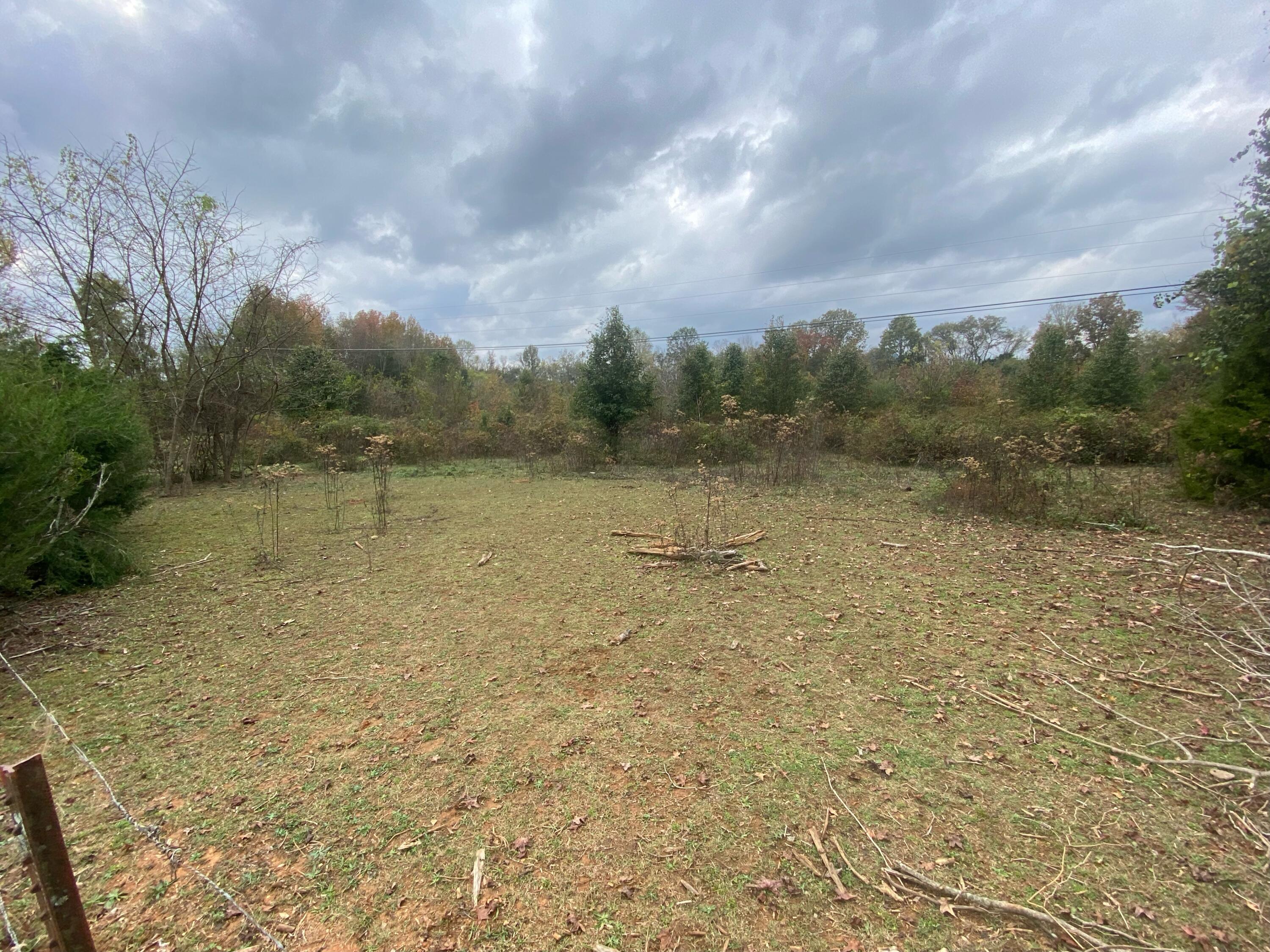 820 Mel Dixon Lane, Jasper, Tennessee image 1