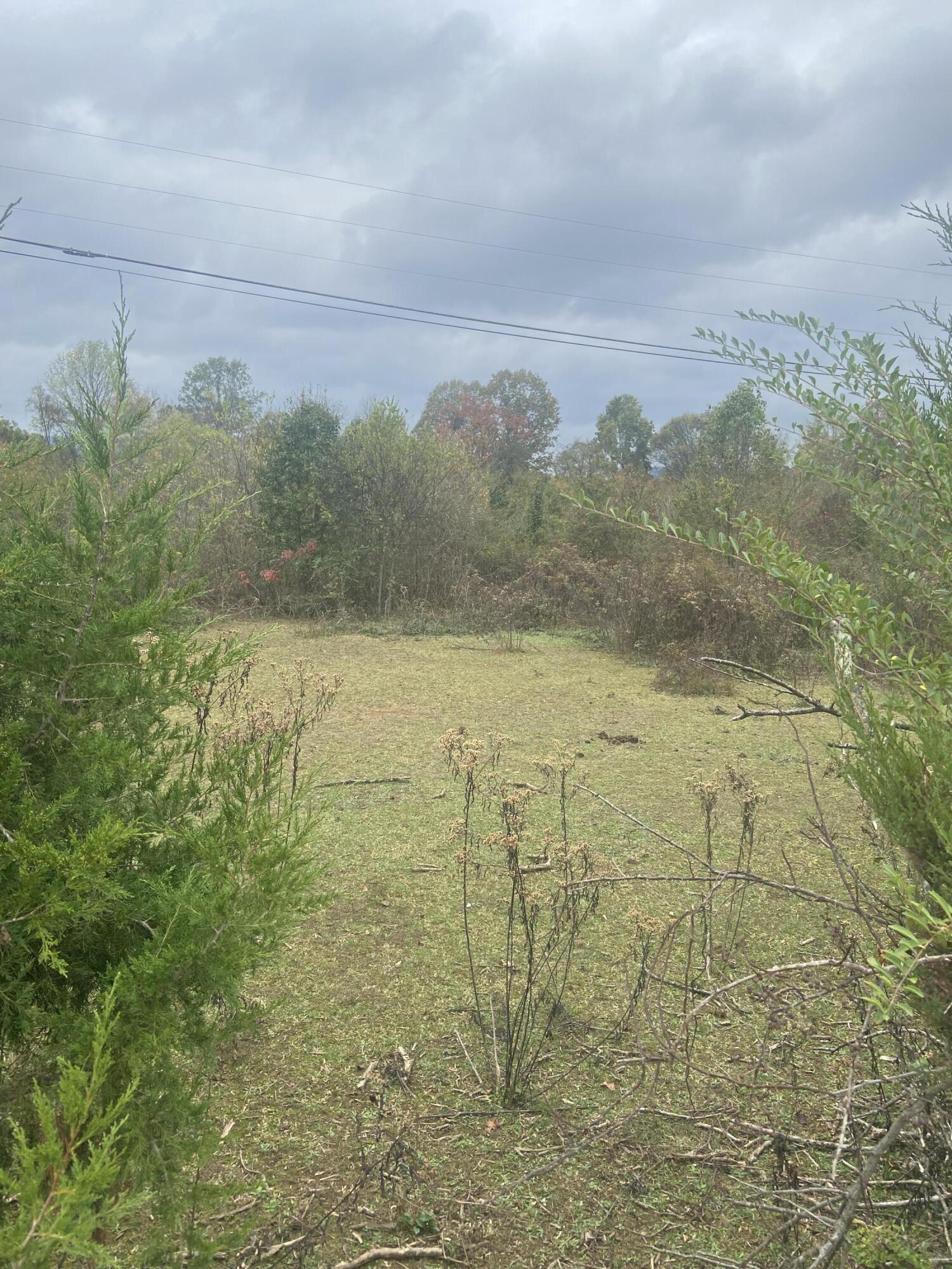 820 Mel Dixon Lane, Jasper, Tennessee image 12