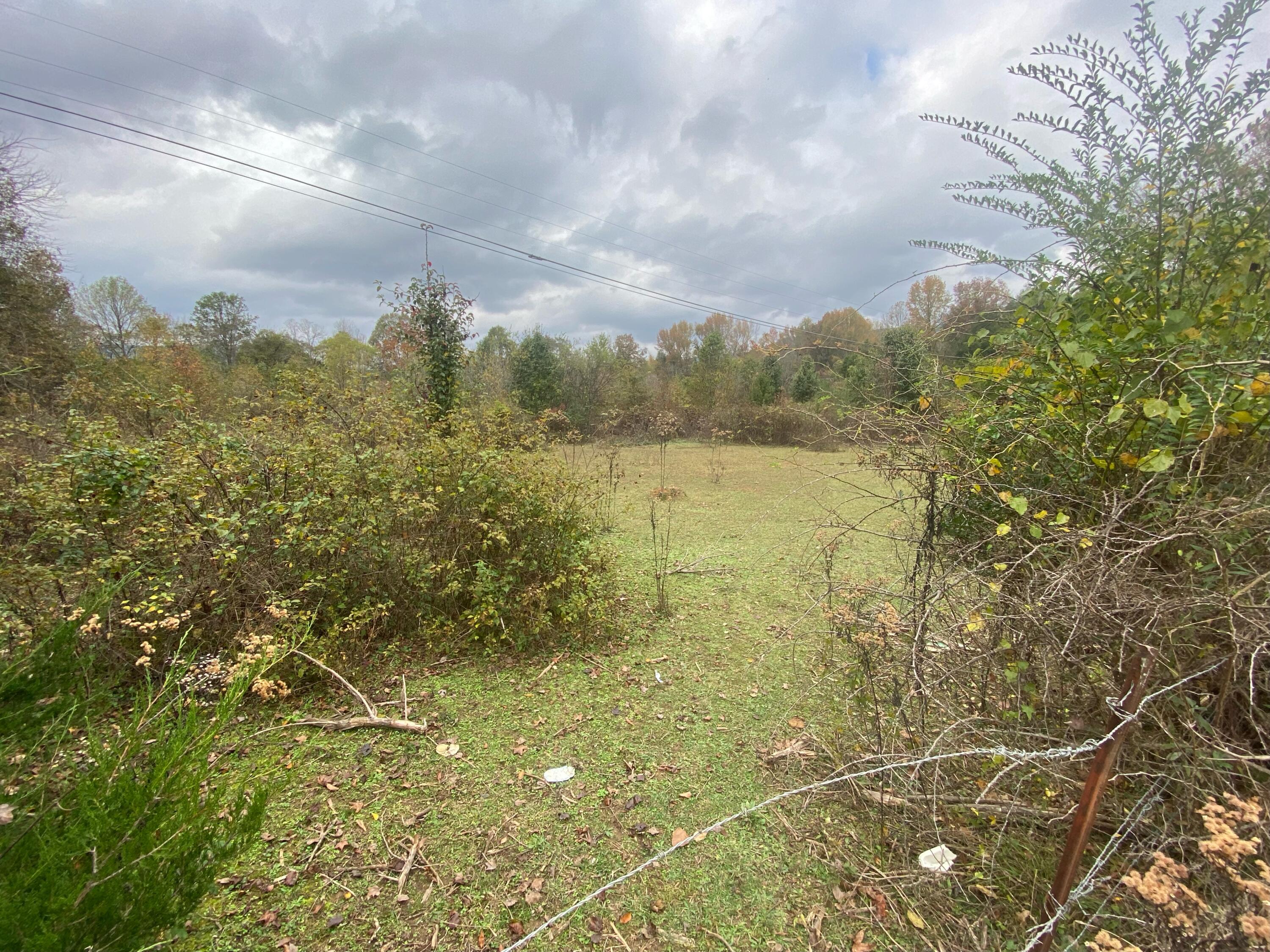 820 Mel Dixon Lane, Jasper, Tennessee image 3