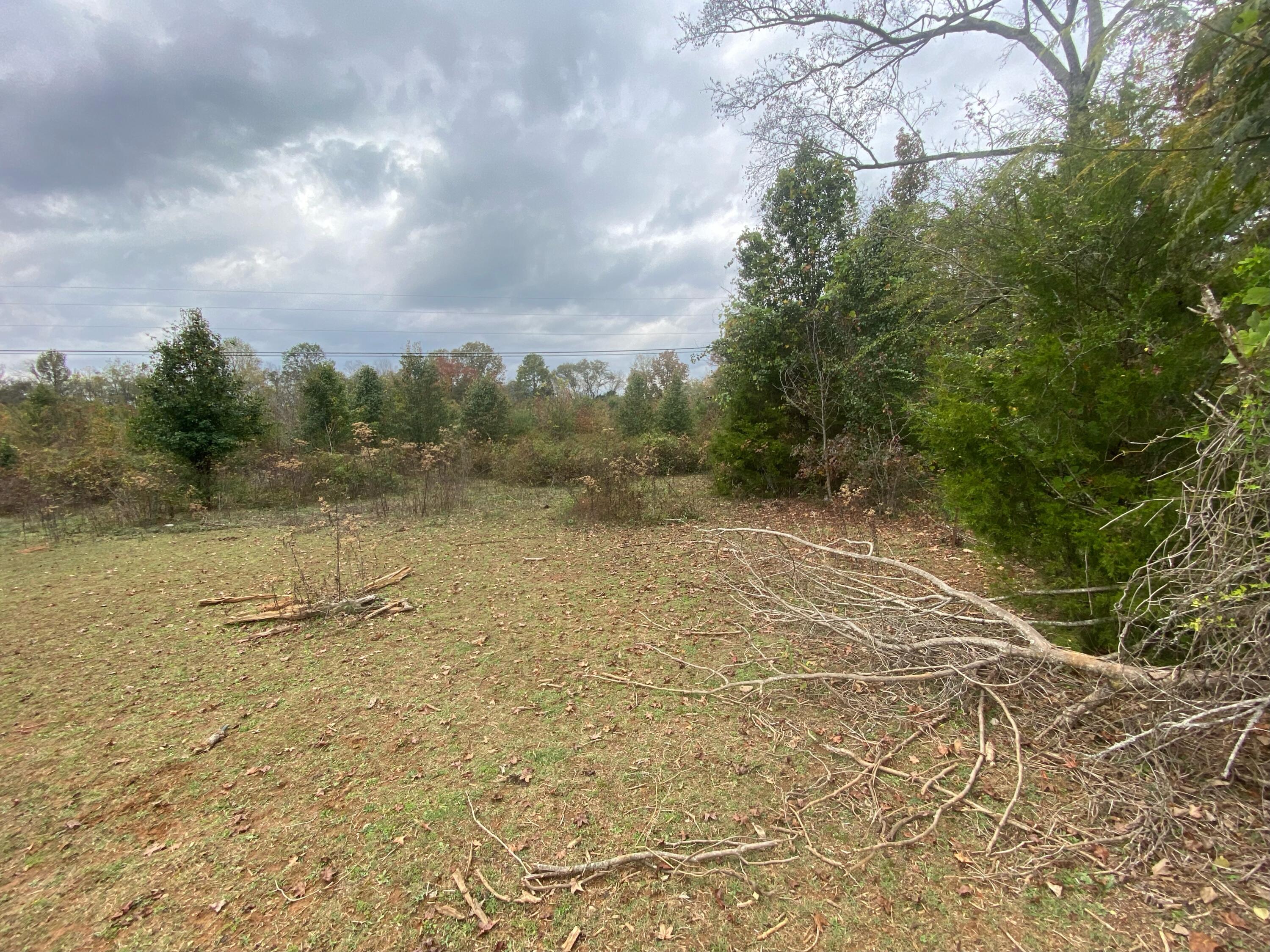 820 Mel Dixon Lane, Jasper, Tennessee image 2