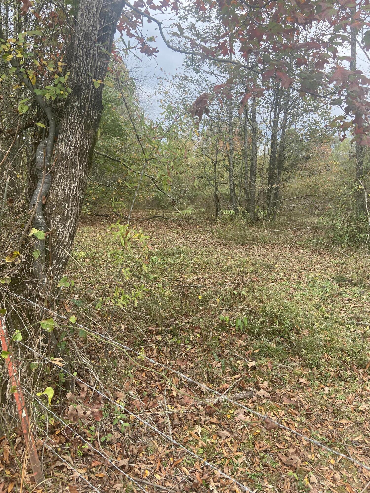 820 Mel Dixon Lane, Jasper, Tennessee image 7