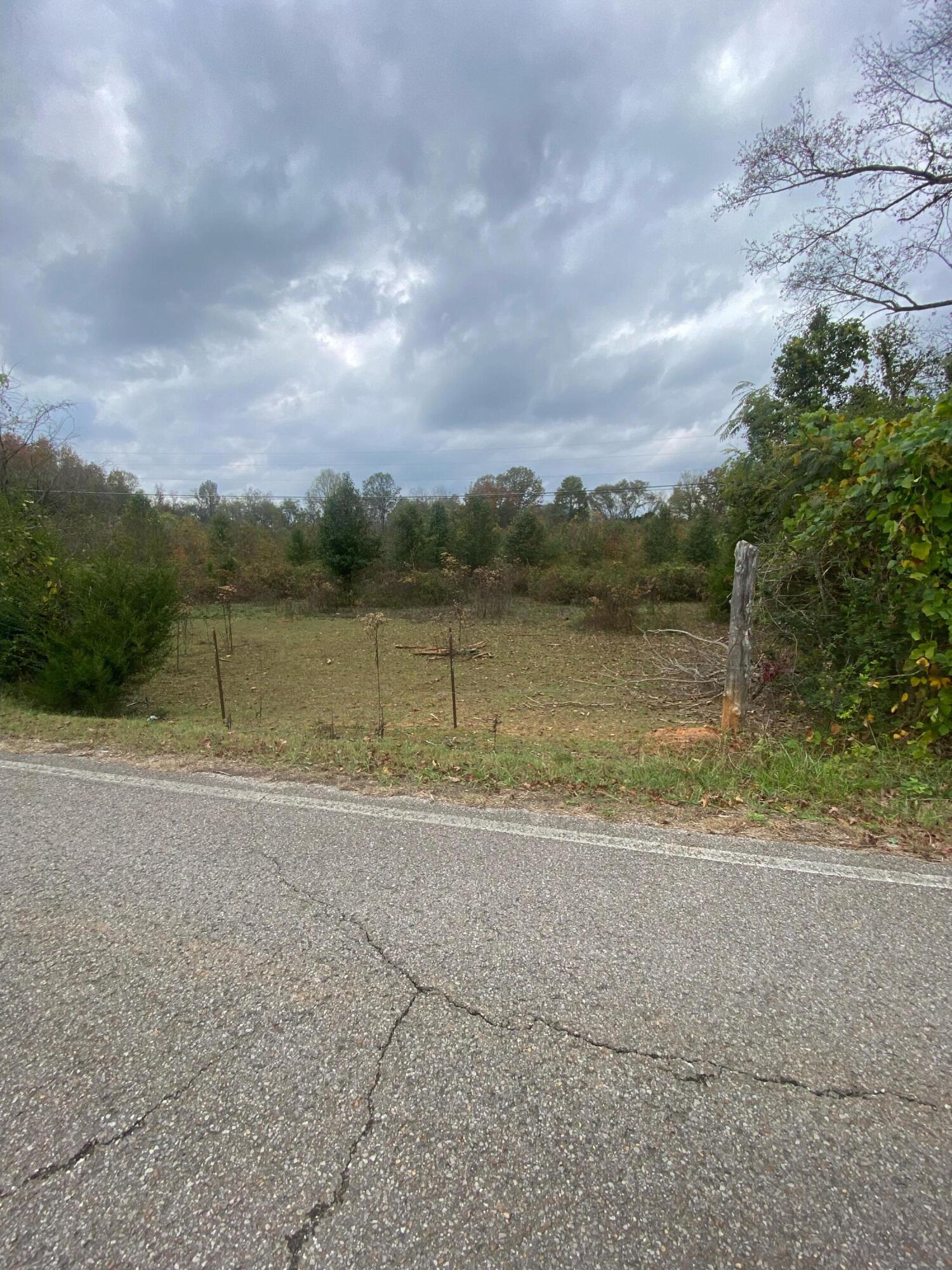 820 Mel Dixon Lane, Jasper, Tennessee image 4
