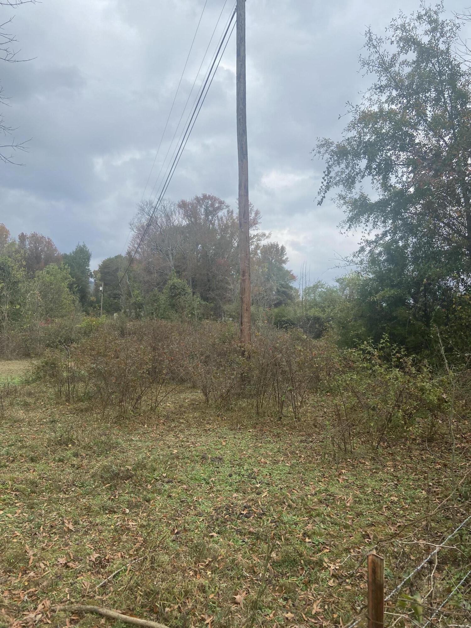 820 Mel Dixon Lane, Jasper, Tennessee image 10