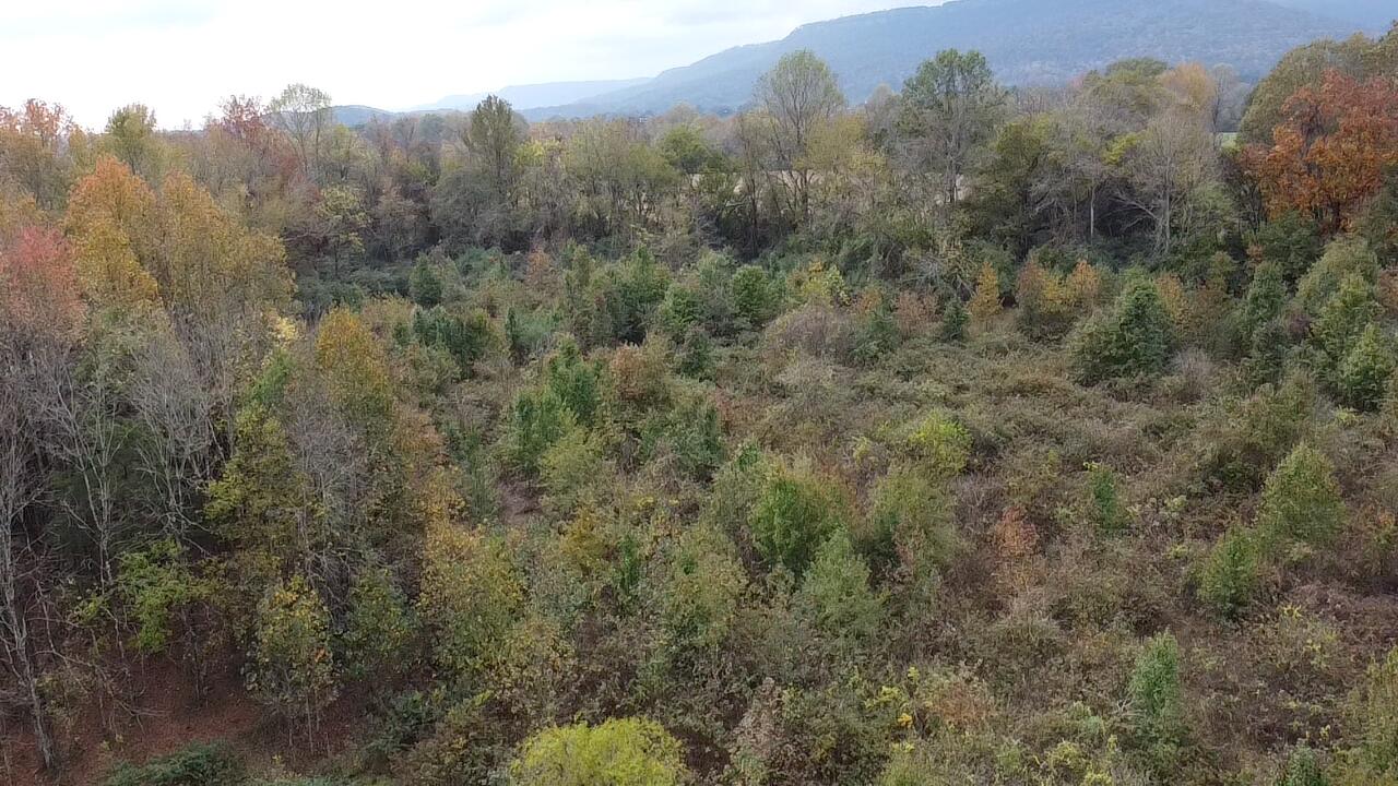 820 Mel Dixon Lane, Jasper, Tennessee image 17