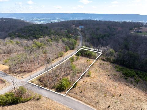 Vacant Land For Sale - Gray Rock View<br/> Pikeville, TN 37367