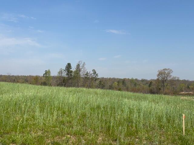Leggett Road, Pikeville, Tennessee image 10