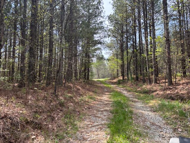 Leggett Road, Pikeville, Tennessee image 3