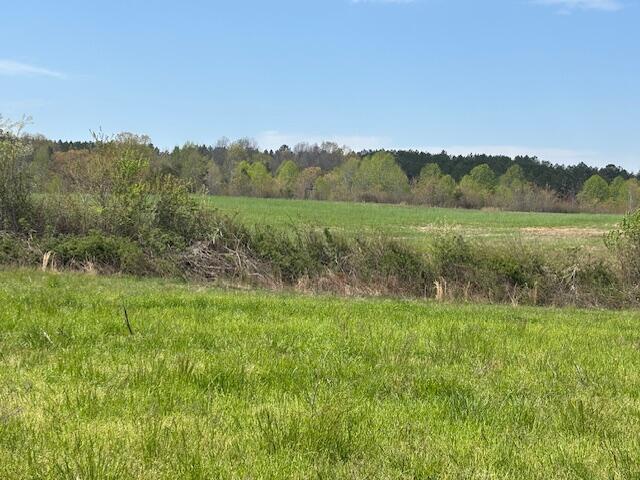 Leggett Road, Pikeville, Tennessee image 19