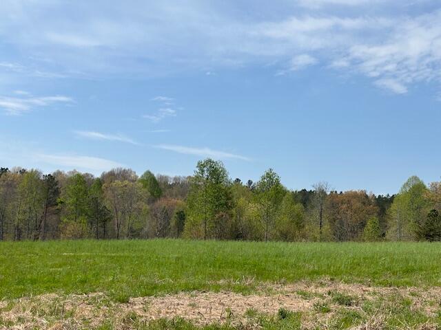 Leggett Road, Pikeville, Tennessee image 16