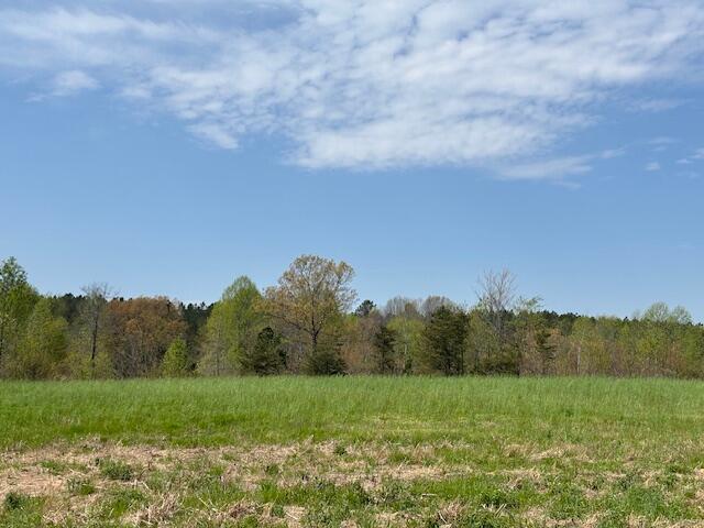 Leggett Road, Pikeville, Tennessee image 15