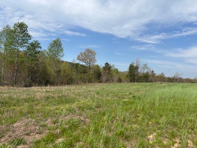 Leggett Road, Pikeville, Tennessee image 7