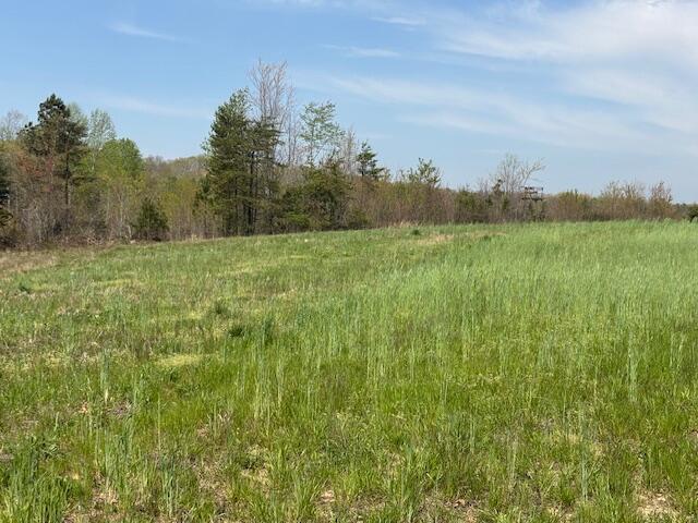 Leggett Road, Pikeville, Tennessee image 12