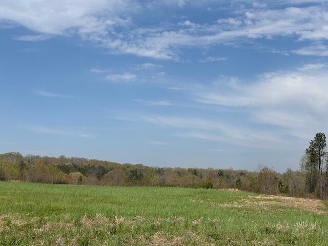 Leggett Road, Pikeville, Tennessee image 14