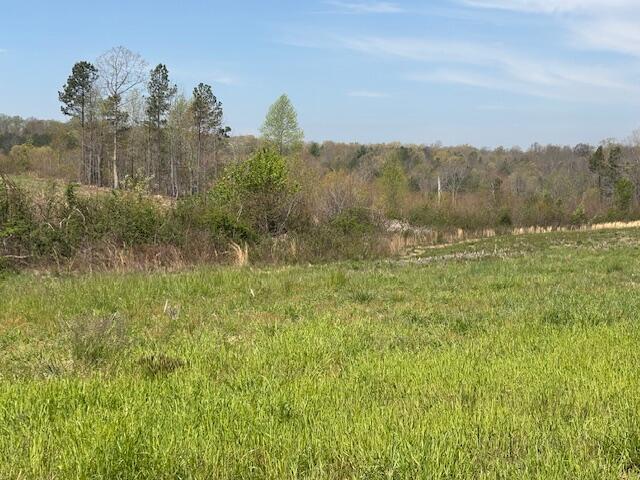 Leggett Road, Pikeville, Tennessee image 18