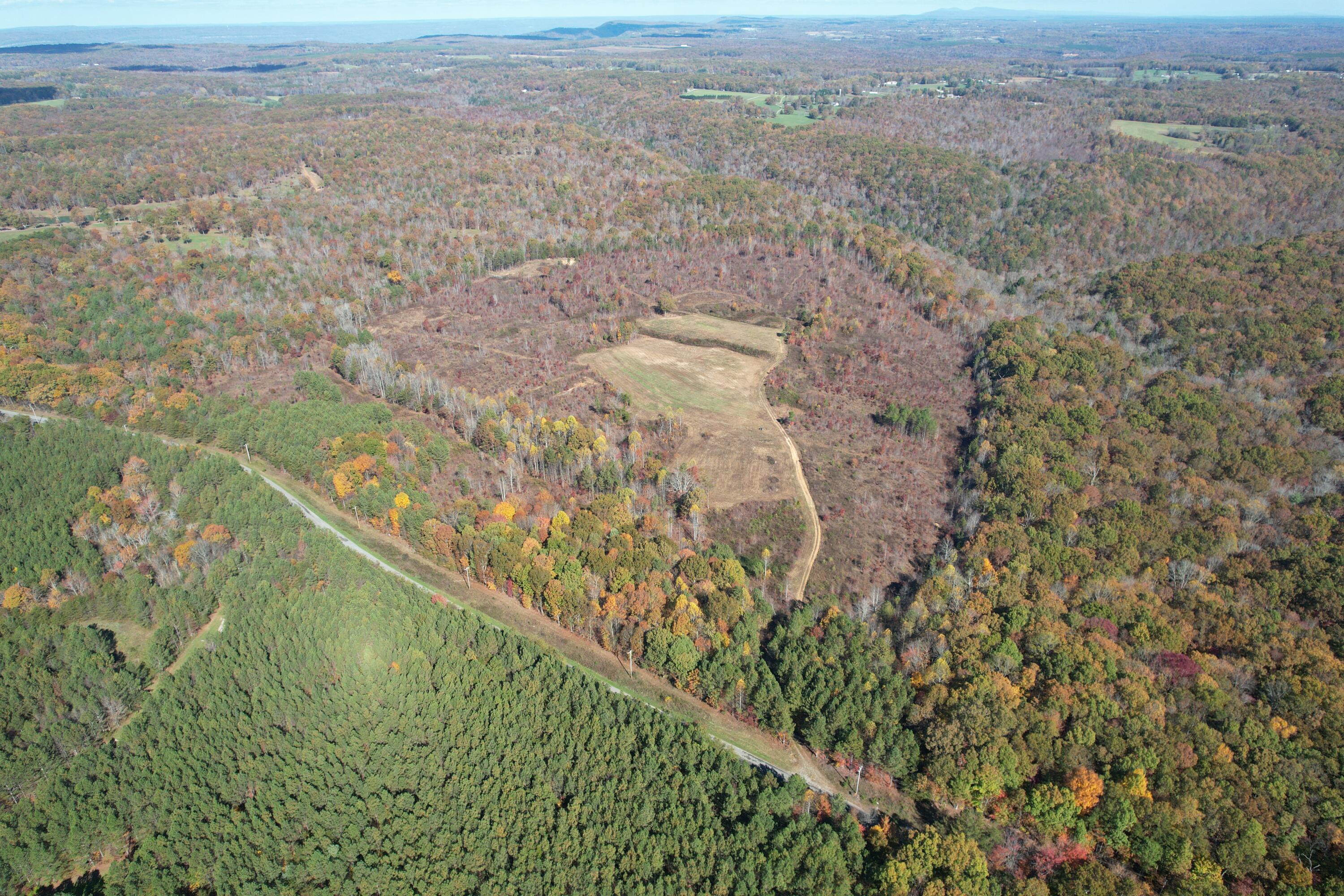 Leggett Road, Pikeville, Tennessee image 1