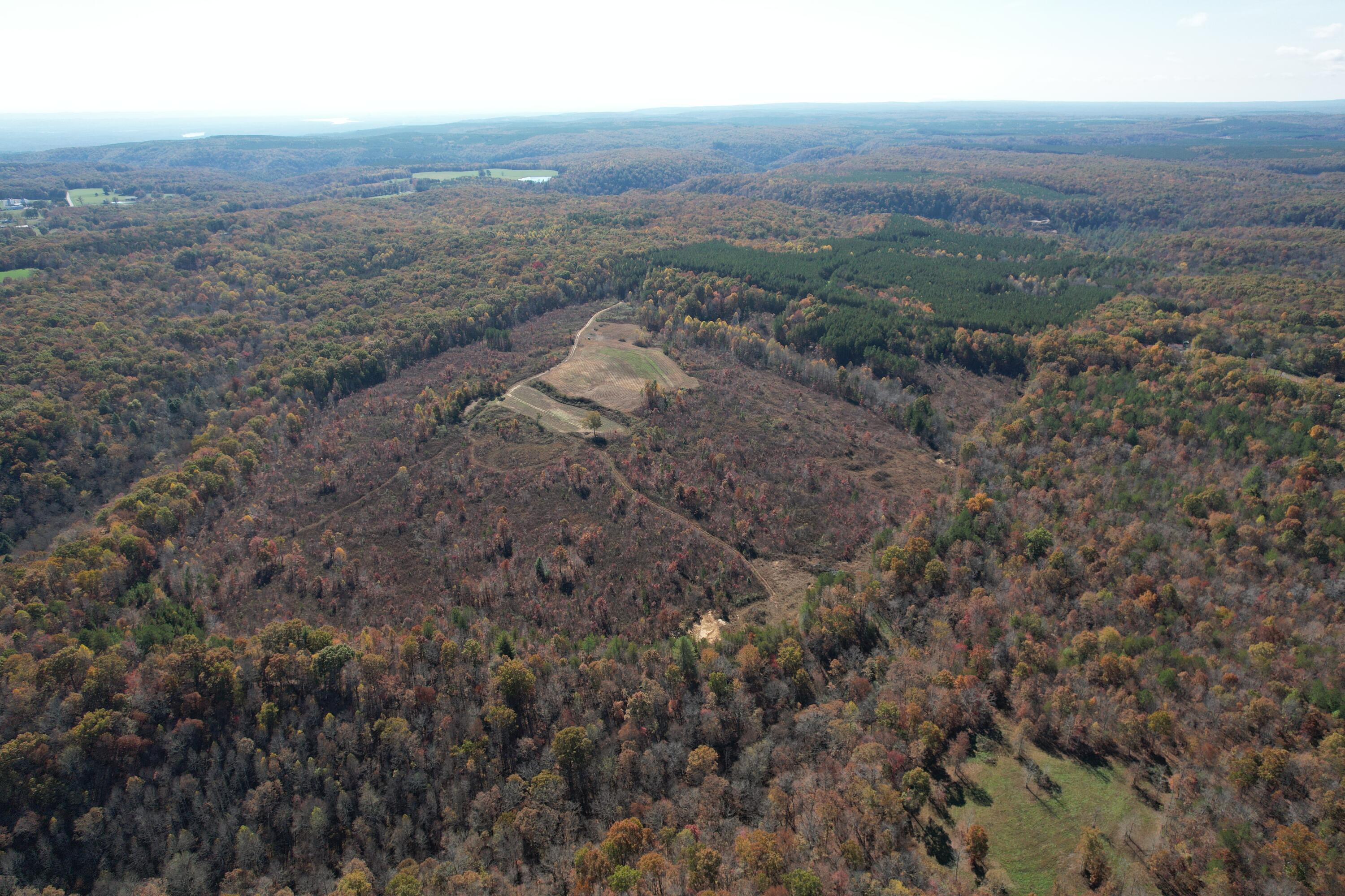 Leggett Road, Pikeville, Tennessee image 4