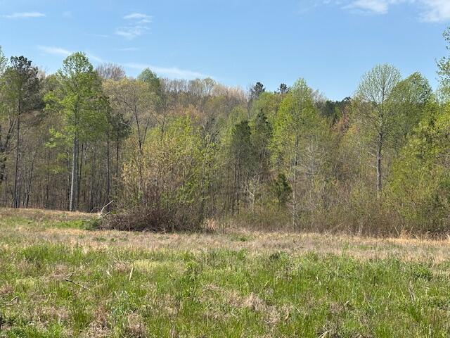 Leggett Road, Pikeville, Tennessee image 13