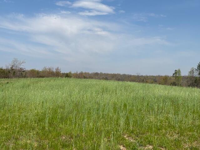 Leggett Road, Pikeville, Tennessee image 11
