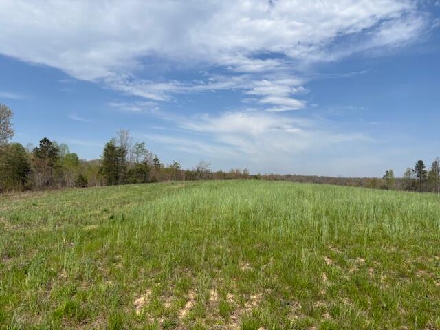 Leggett Road, Pikeville, Tennessee image 6