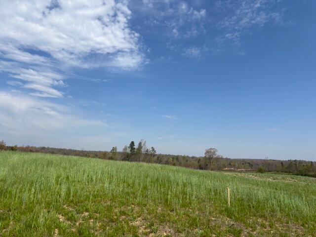 Leggett Road, Pikeville, Tennessee image 8