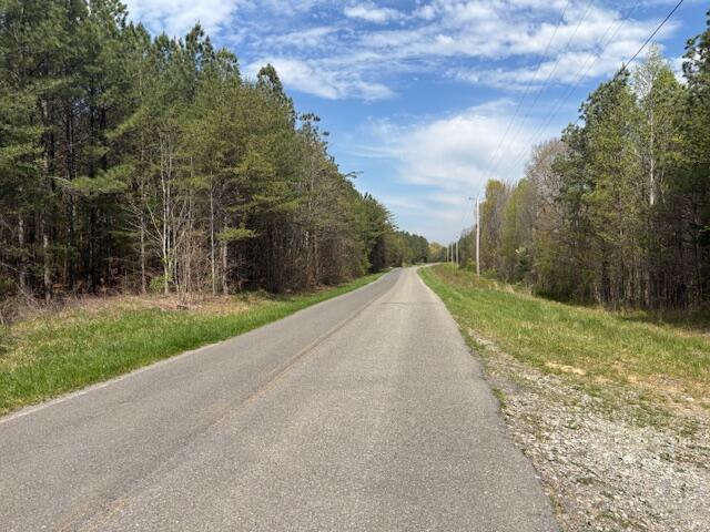 Leggett Road, Pikeville, Tennessee image 2