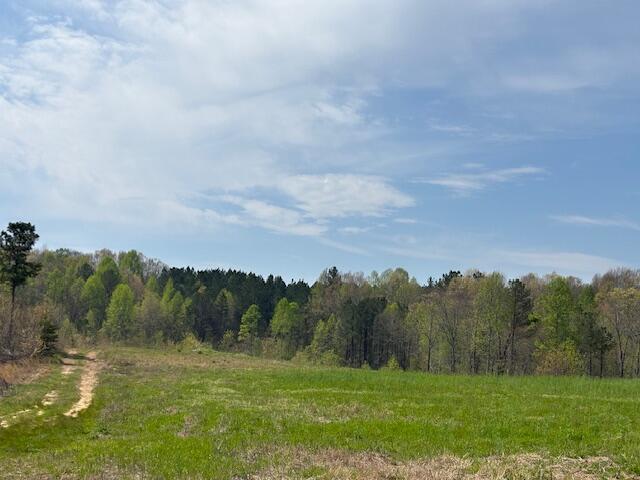 Leggett Road, Pikeville, Tennessee image 17